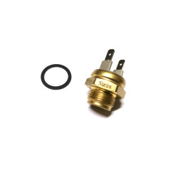 temperature switch Fiat 124...
