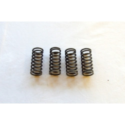set valve springs Fiat 500 N/D