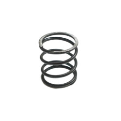 engine mount spring Fiat...