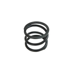 engine mount spring Fiat 126