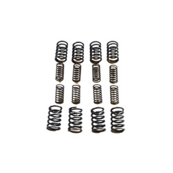 set valve springs Fiat 850...