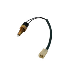 reverse light switch Fiat...