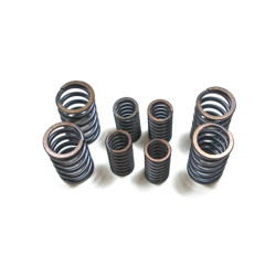 set valve springs Fiat 500...