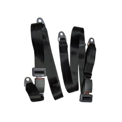 seat belt, pair