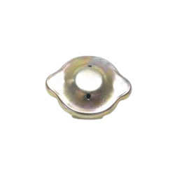 cap for water overflow tank...