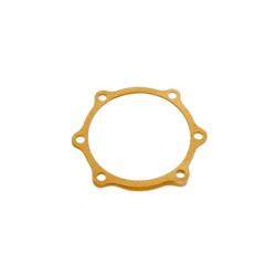 rear crankshaft gasket Fiat...