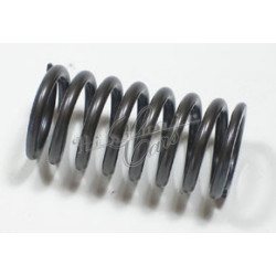 inner valve spring Fiat 850...