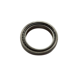 differential bearing Fiat...