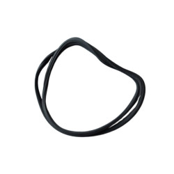 windshield weatherstrip...