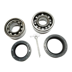 rear wheel bearing set Fiat...