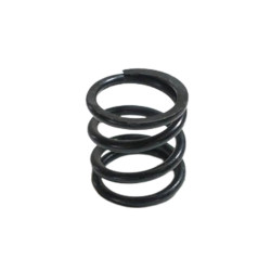 engine mount spring Fiat...
