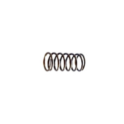valve spring Fiat 600 -...