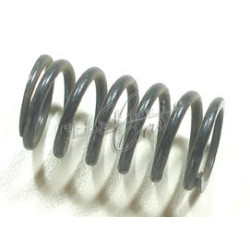 inner valve spring Fiat 124...