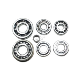gear box bearing kit Fiat...