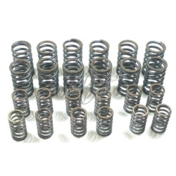 set valve springs Fiat 130