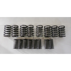 valve spring set Fiat 1100...