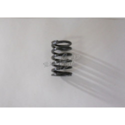 outer valve spring Fiat 850...