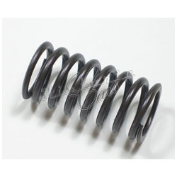 inner valve spring Fiat 500...