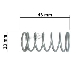 spring for fuel pump...