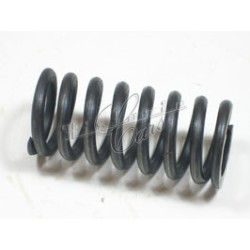 valve spring Fiat 500 N/D