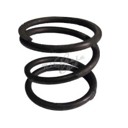 oil pump spring Fiat 126