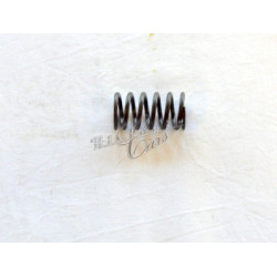 inner valve spring Fiat...