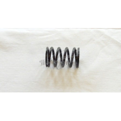outer valve spring Fiat...