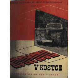 Automobil v kostce (kopie)