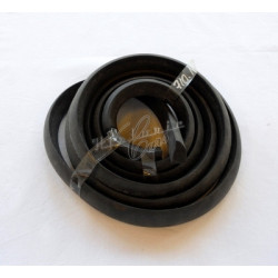 rear door weatherstrip...