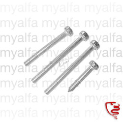 SCREW SET INDICATOR LENSE...