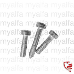 SCREW SET REAR LIGHT LENSE...