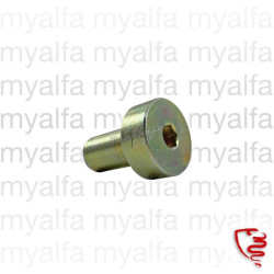 CAM COVER SCREW HEXAGON...