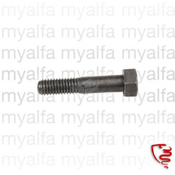 SAFETY SCREW CAMSHAFT ALFA...