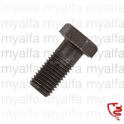 SCREW FLYWHEEL 6 HOLE ALFA...