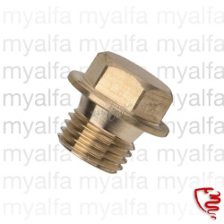 Odvzdušňovací šroub...