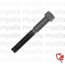 ANTI VIBRATION SCREW LONG...