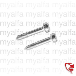 SCREW SET INDICATOR LENSE...