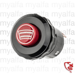 HEATED REAR SCREEN SWITCH...